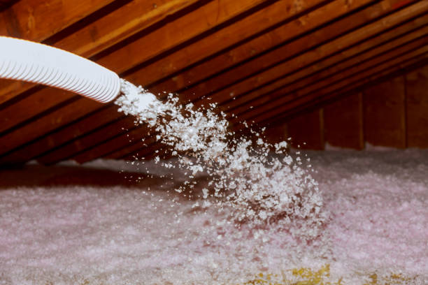 Best Specialized Insulation Services in Florence, KY