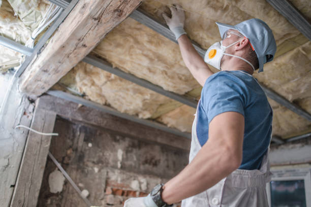 Best DIY Insulation Kits and Guidance in Florence, KY